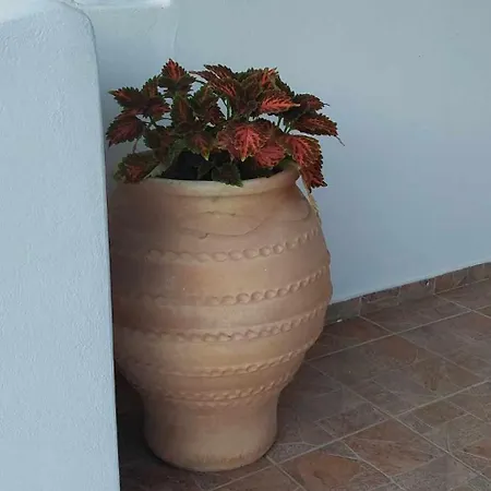 Holiday home Nereid House